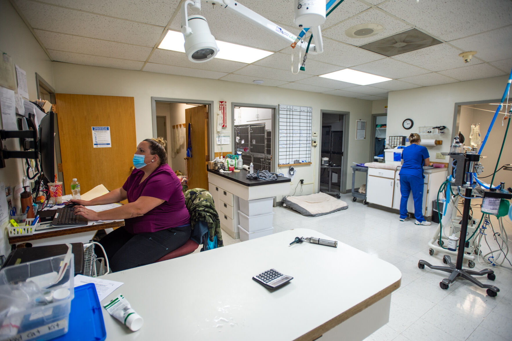 Veterinary offices face special challenges